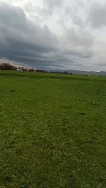 WhatsApp Video 2026-04-10 At 11.26.21