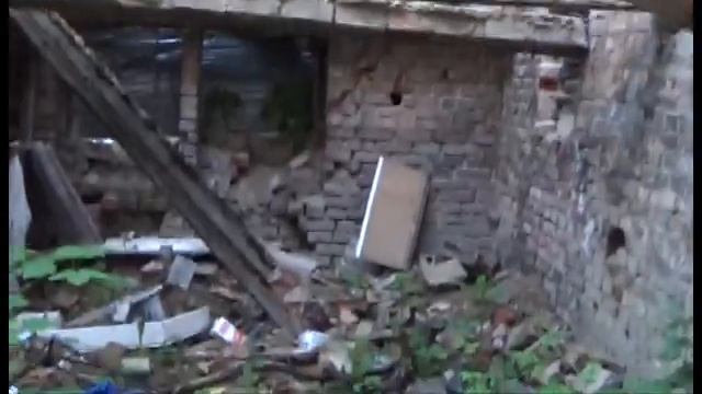 Умри лиса, умри! (стихотворение Алины Витухновской)