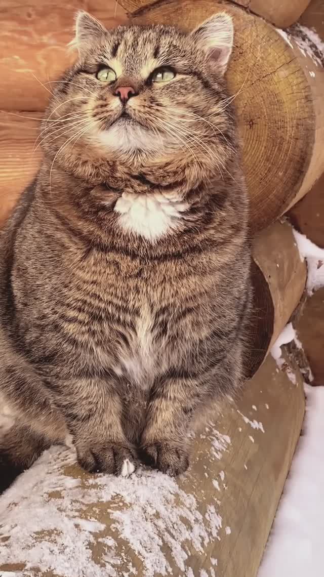 Песенка «Уныние долой!» 10-04-2026