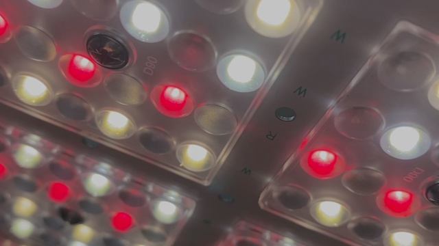 Квантумборд FITON QB-70 для растений 12-70 Вт линза