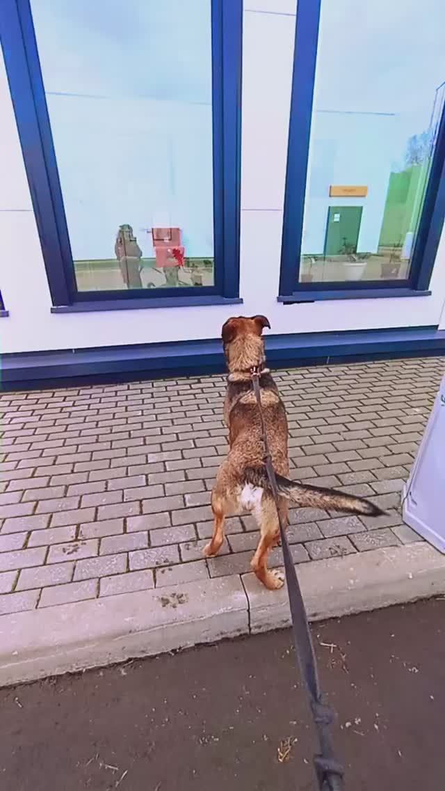 771010d9d8d3cf997ca03729ee2cc1cf