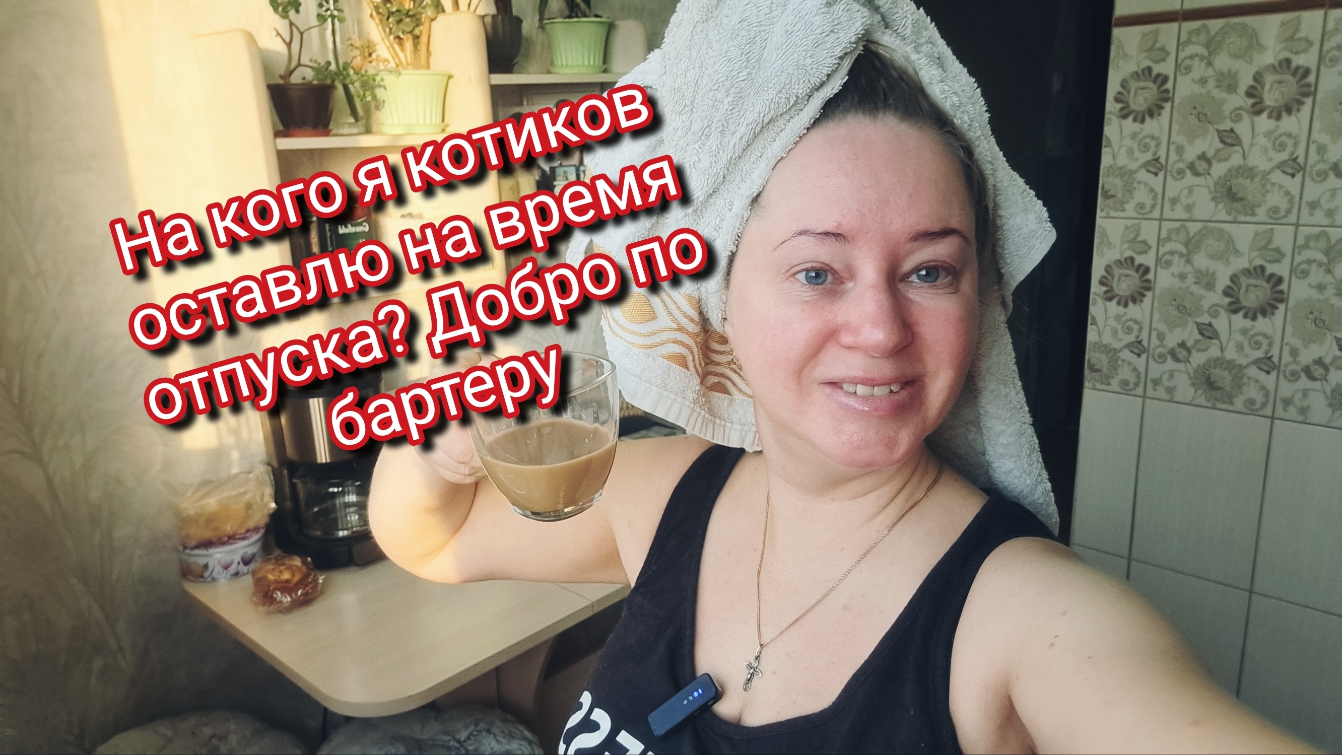 На кого я котиков оставлю на время отпуска? Добро по бартеру