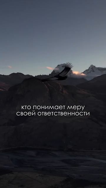 Новый Мир. #ктовойдёт