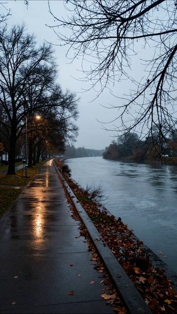 Прогулка вдоль реки в осенний день #осень #природа #город