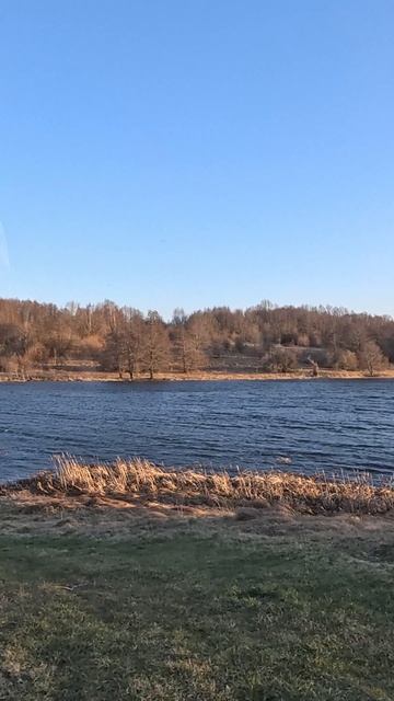 Озеро на реке Алейка