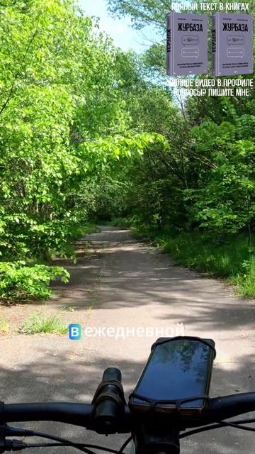 Про опционы и доли для команды 1