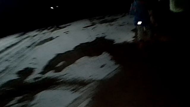 гуляем с Оливер по лесу ночью!? с собакой