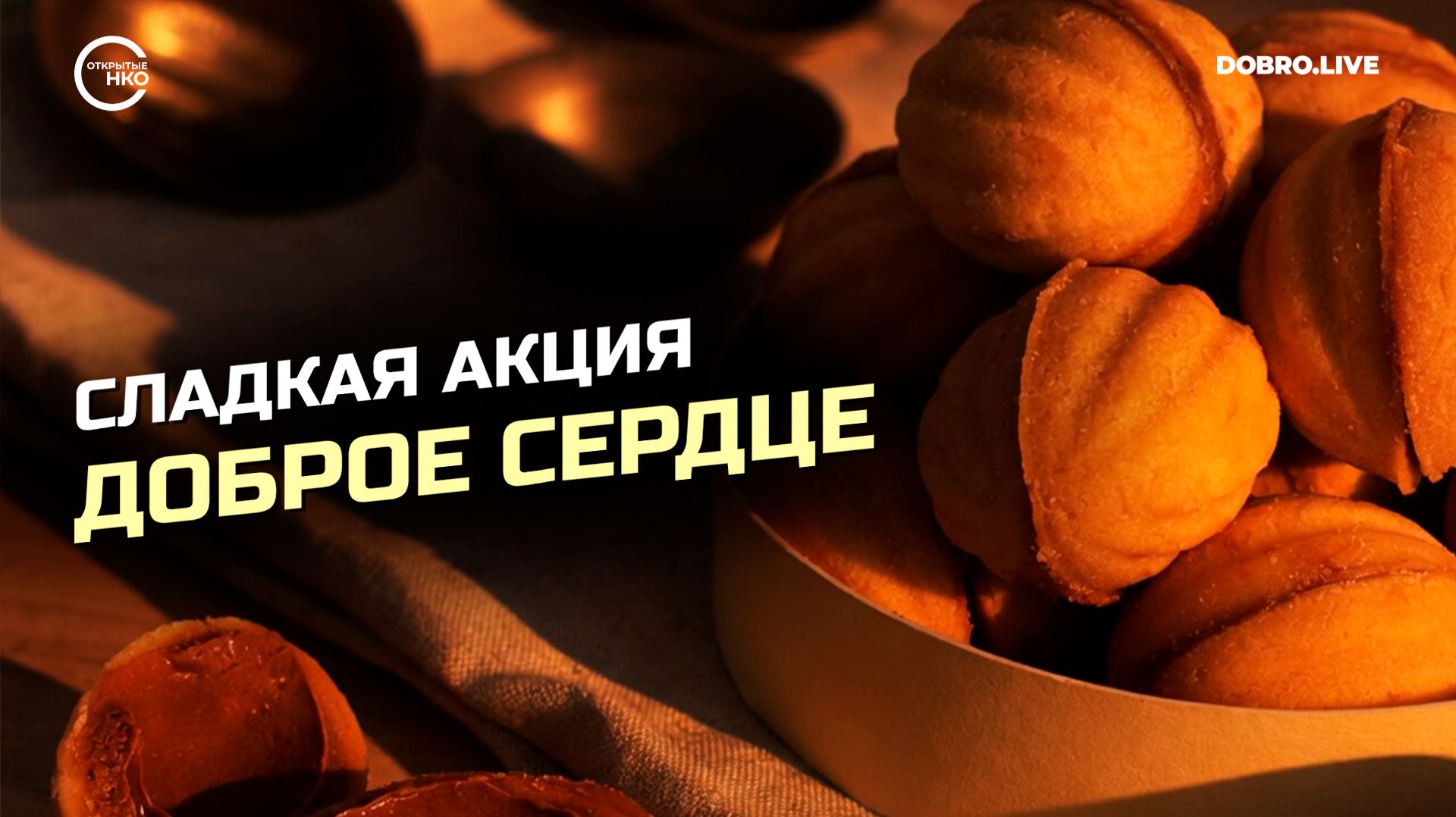 «Не простые орешки»: в Санкт-Петербурге запустили акцию в поддержку детей с тяжелыми диагнозами