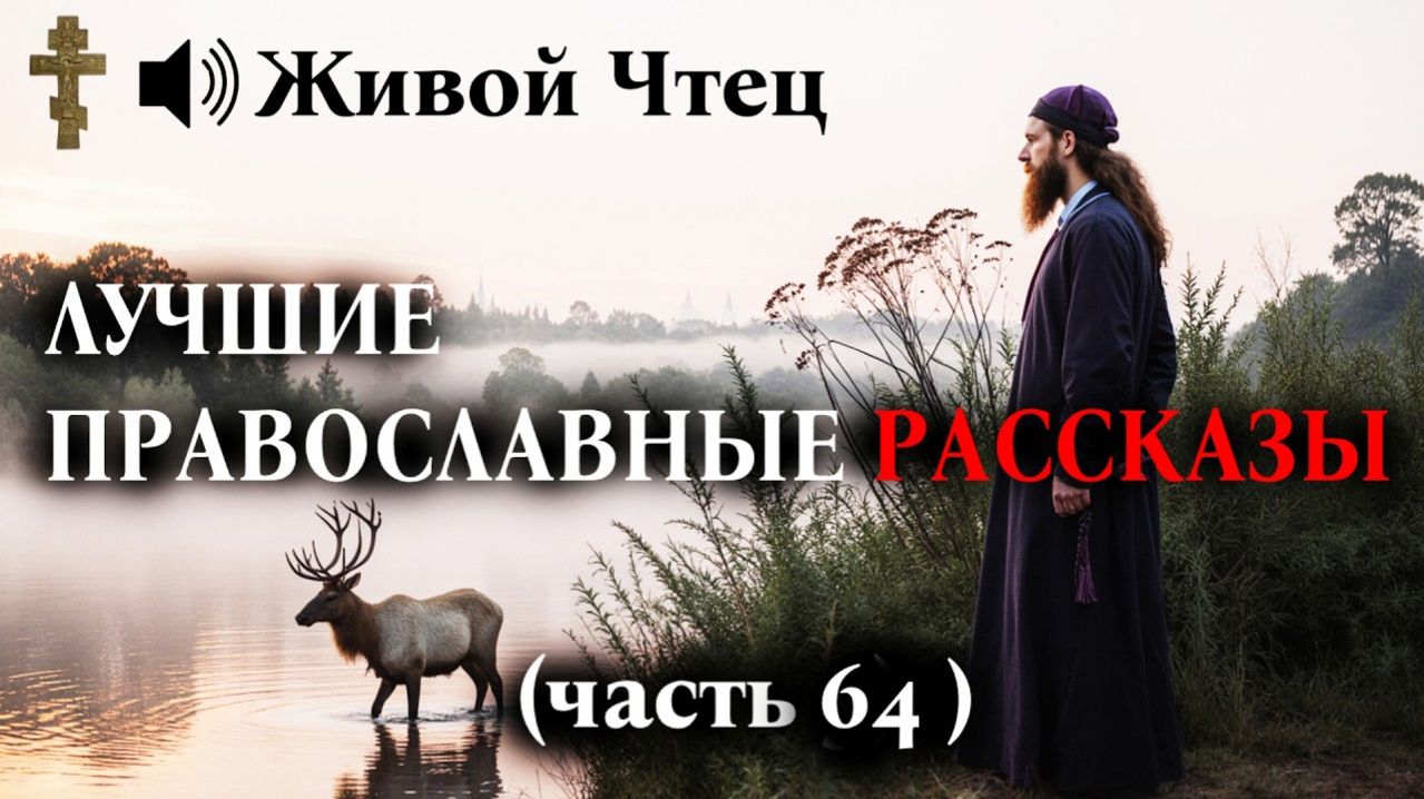 БЛОГЕР ОСКОРБИЛ СТАРУШКУ В ХРАМЕ И ТУТ ЖЕ ОНЕМЕЛ... ЛУЧШИЕ ПРАВОСЛАВНЫЕ РАССКАЗЫ часть 64