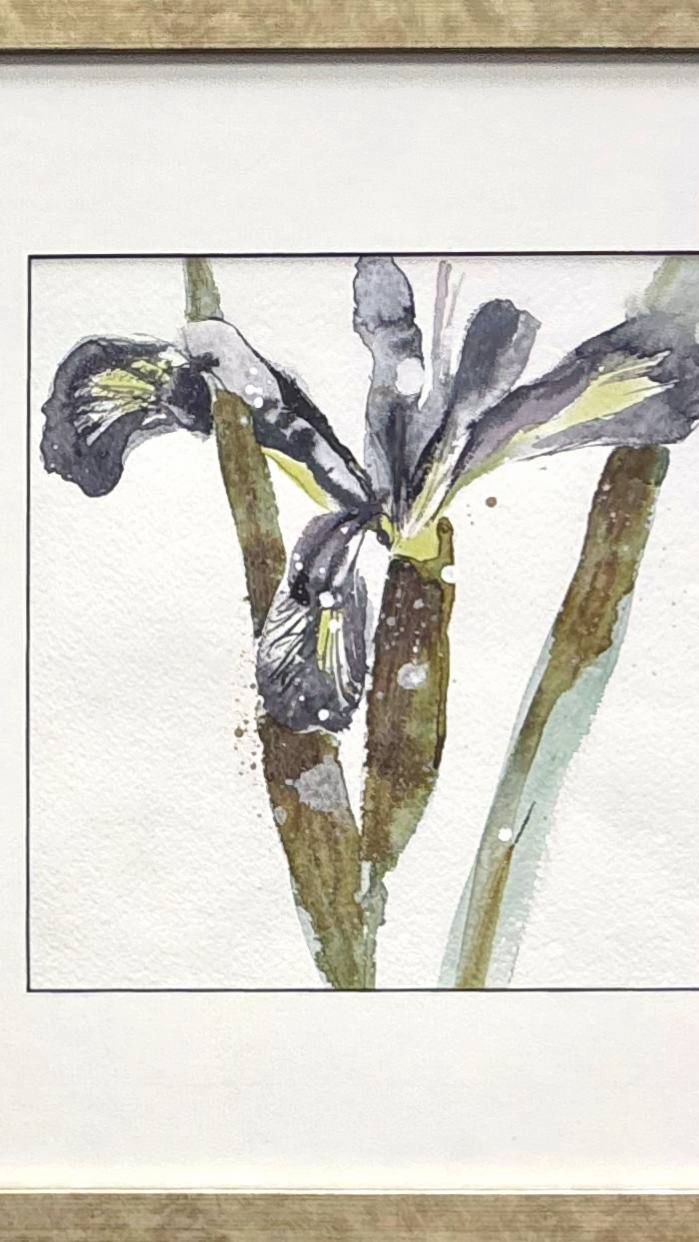 Инга Павлова 