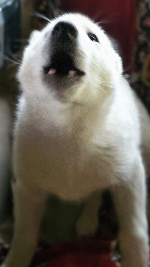 Куда ты хочешь?