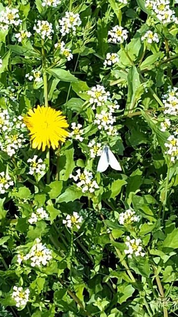 Вчера и сегодня, контрасты южного апреля