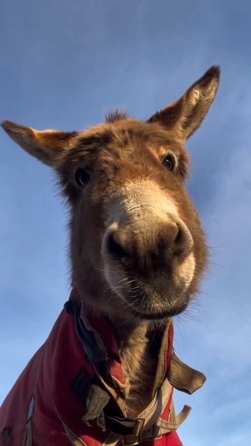 смотрим не осуждаем