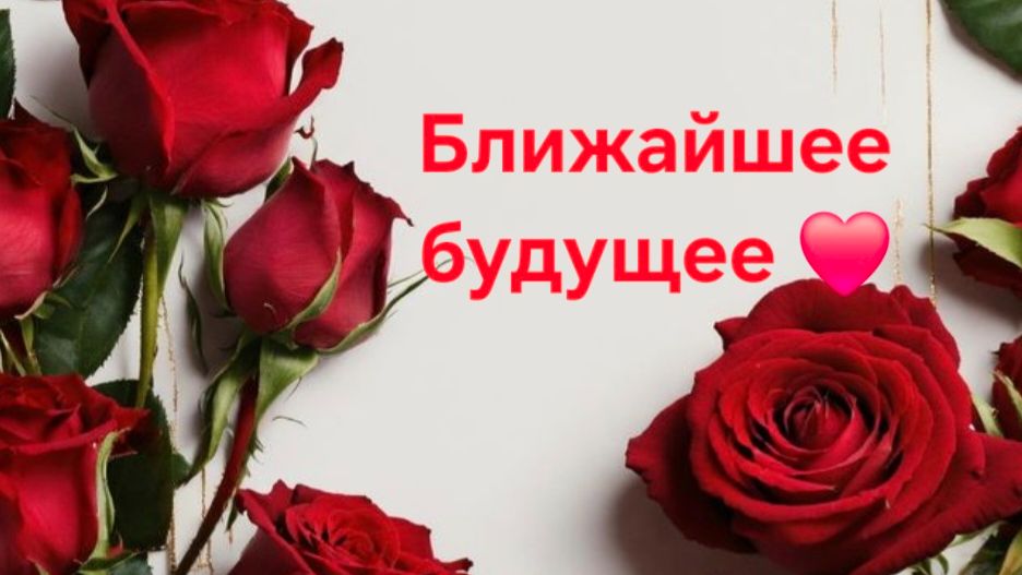 Спешит , бежит , торопится