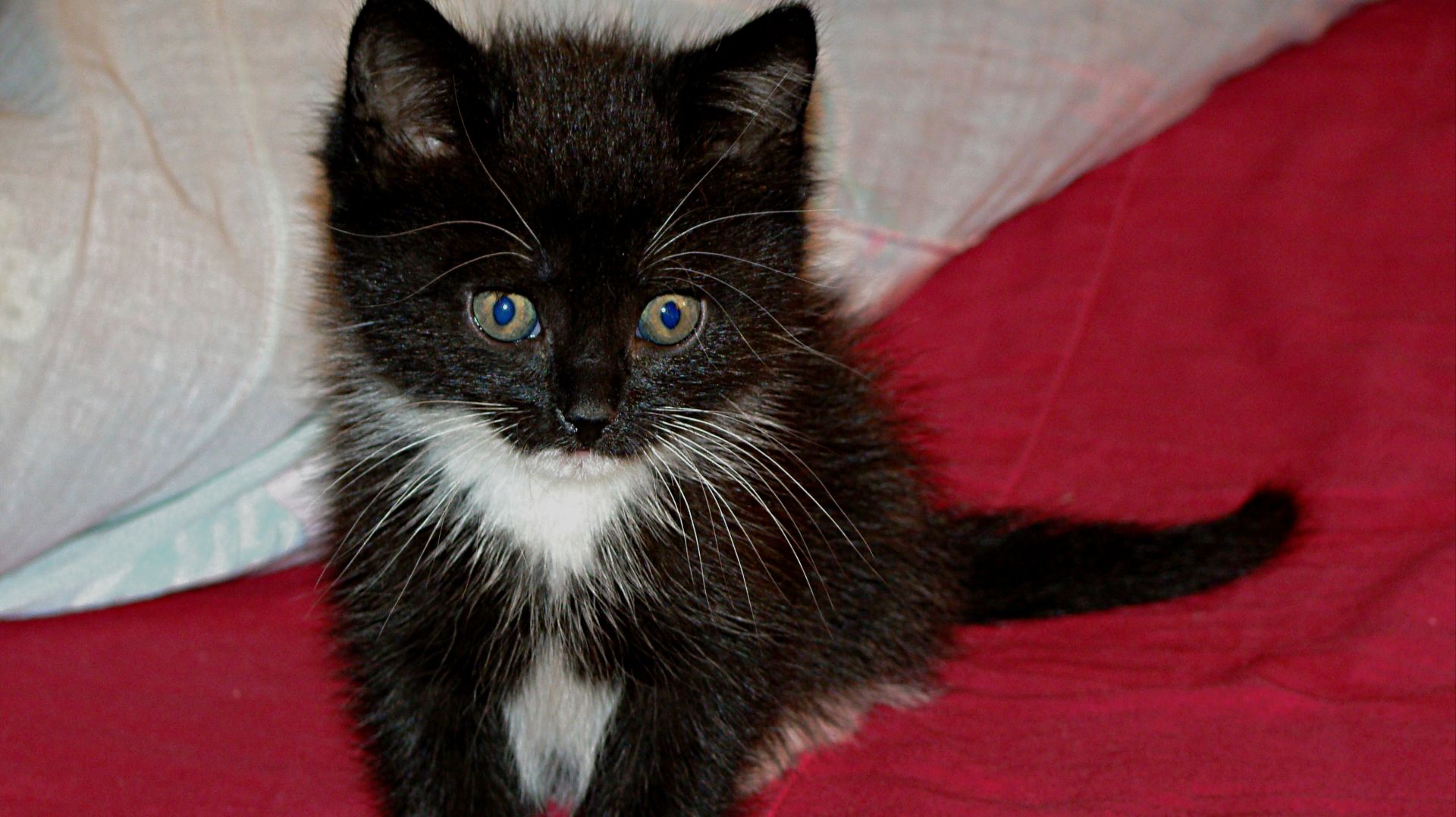 Прощание с Моей Любимой Кузечкой  .  21 марта 2026 год в 10-30 её не Стало .