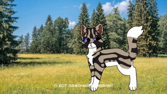 Ещë видео от сью! Опять!