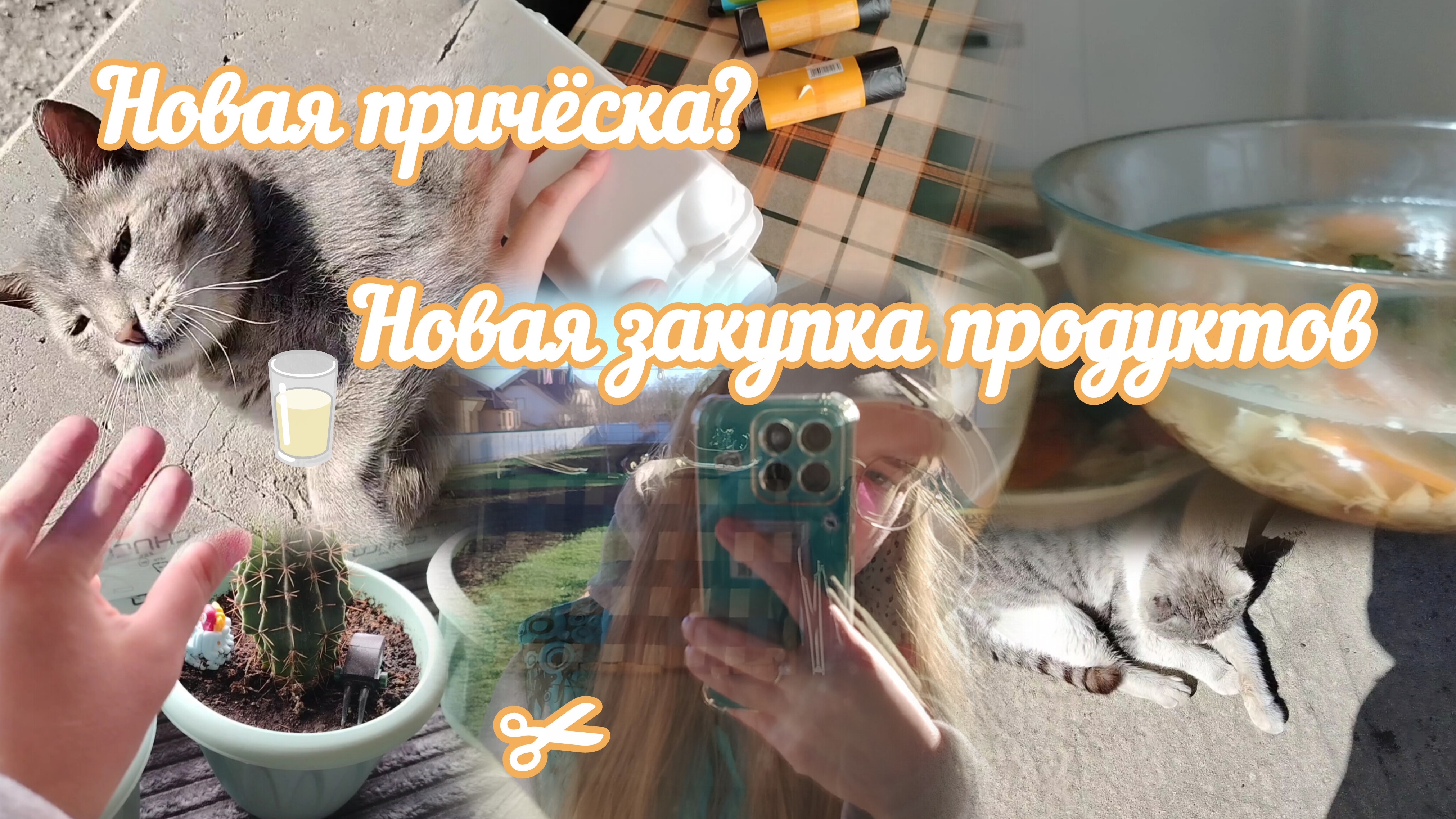 ВЛОГ Новая причёска?✂️ Небольшая закупка продуктов🥛