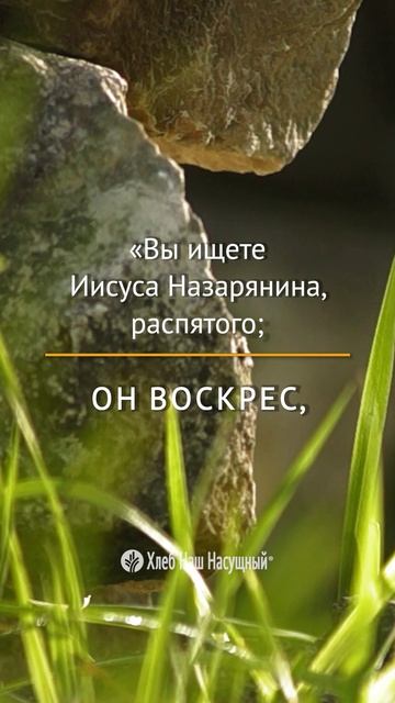 ♦ Христос воскрес! Воистину воскрес!