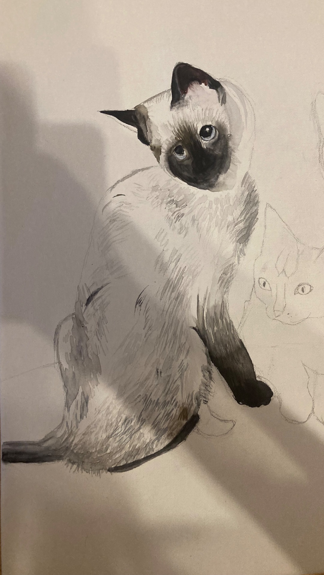 Первый котейка- Луна !!!