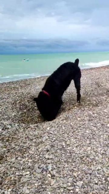 Video.Guru_20240817_170452730