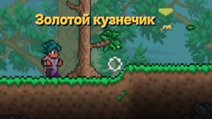 Поймал Золотого кузнечика в Террарии | Суходрищик Terraria