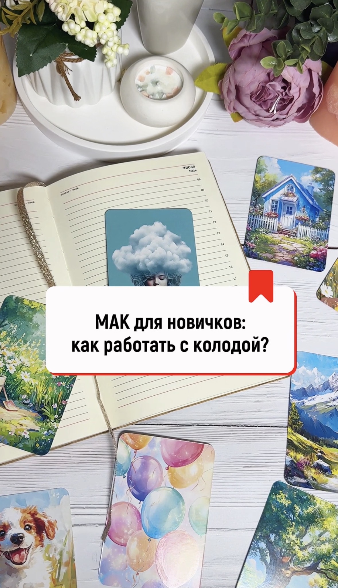 МАК для новичков: как работать с колодой?