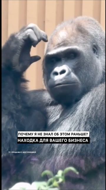 Забирай решение здесь, как увеличить прибыль с ии Https://t.me/ai_resheniya_pro/518