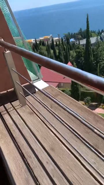 Белка ест арбуз | Favorite Watermelon #youtubeshorts #shorts #youtube #squirrel #funnyvideo