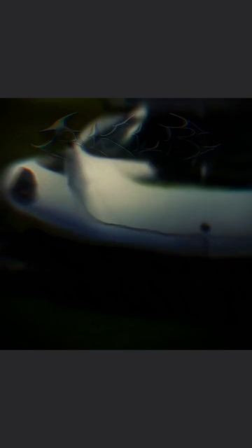 Я пообщался с BENYX, и он сюда вернётся и будет выкладывать иногда ролики, это будет наш двойной кан