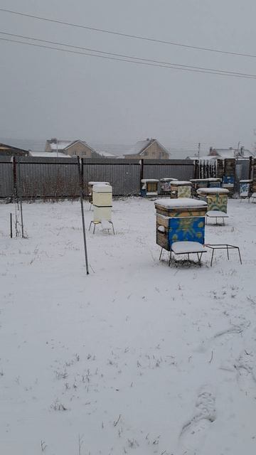 Зима вернулась