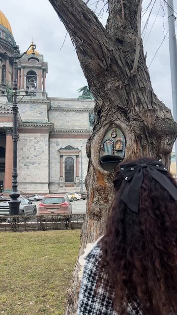 Нашли секретное дерево с сюрпризом около Исаакиевского Собора.Бюро Экскурсий продолжает удивлять