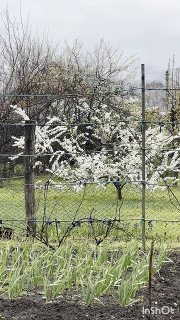 Весенняя гроза!