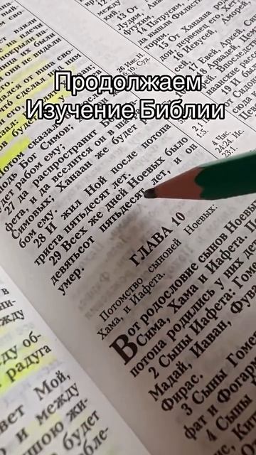 Всем, кто отметит этот пост ♥️, сегодня придёт хорошая новость. Аминь 🙏