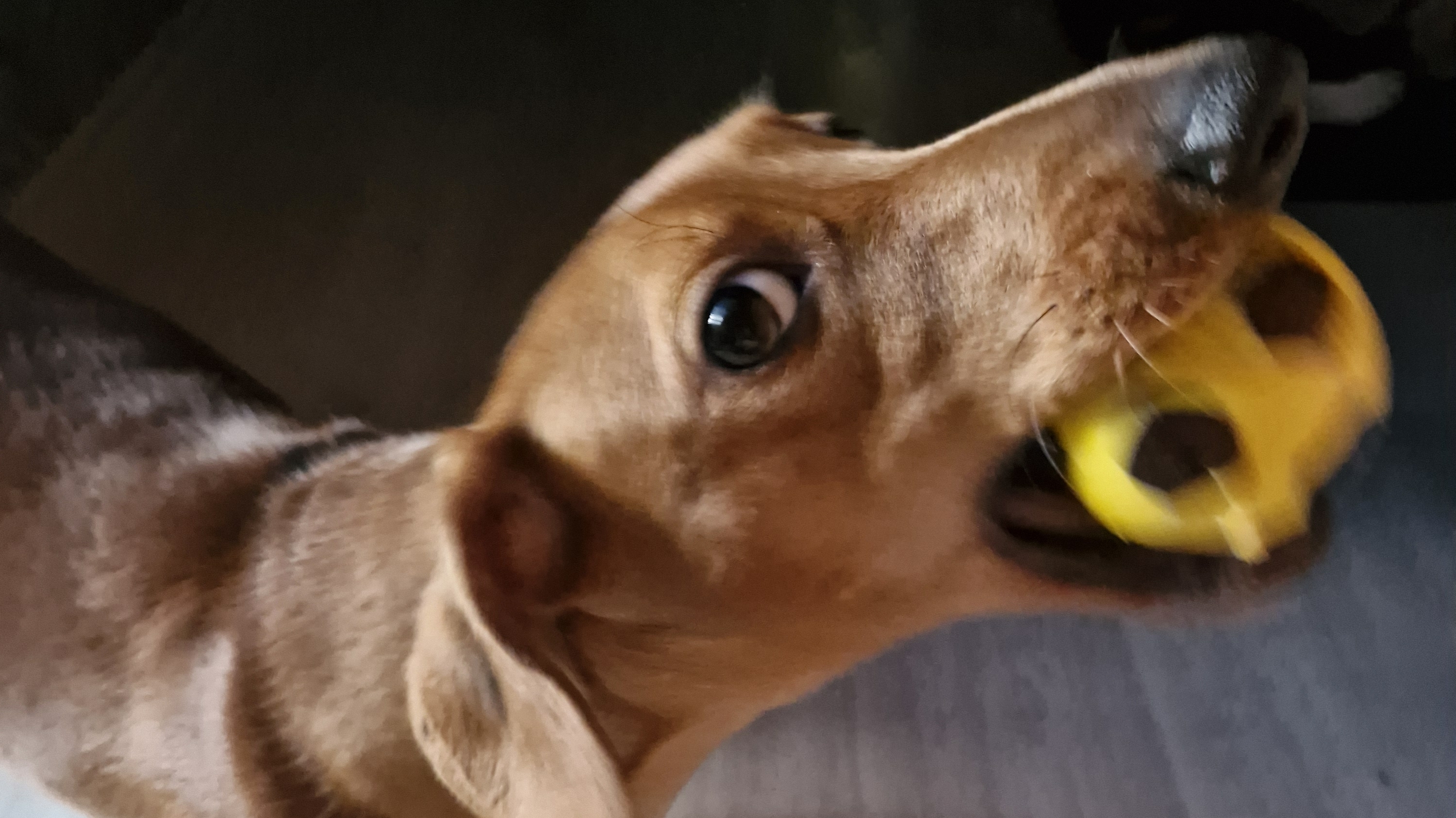 Играем в мяч