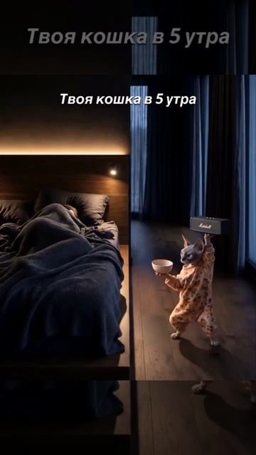 Жиза?) Подписываемся 😉