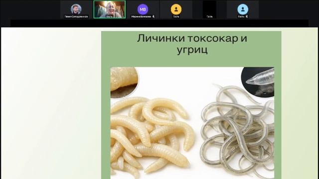 Вебинар от 31.03.26