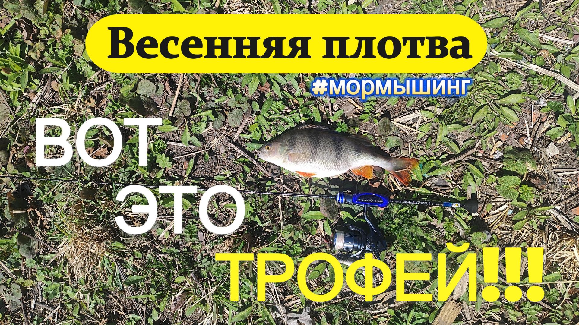 793ba7ed621236716b3c2898d5ce2448