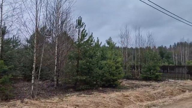 объект №9075247