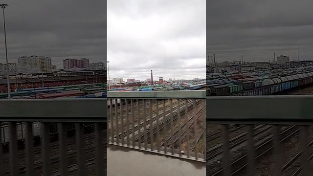 3 моста в Петербурге