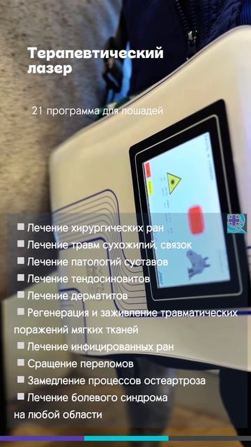 Терапевтический лазер в МАКСИМА ВЕТ. Отделение реабилитации Https://maximavet.ru/reabilitatsiya