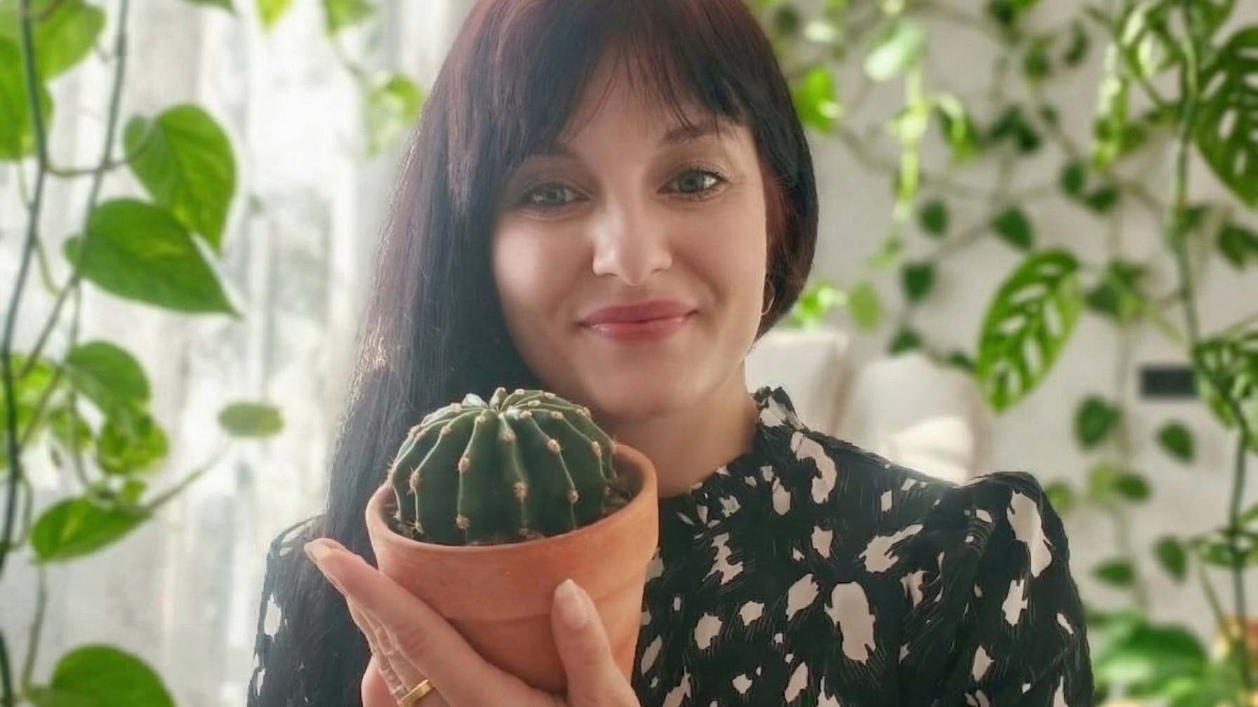 Монстера тайское созвездие. Пересадка. Формирование опоры.