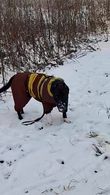 10.04.2026# зима# кругом зима, как в песне🤔