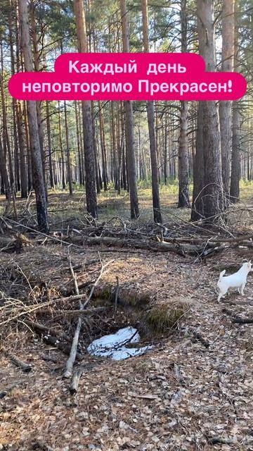 Успех зависит от вашего Состояния и радости?