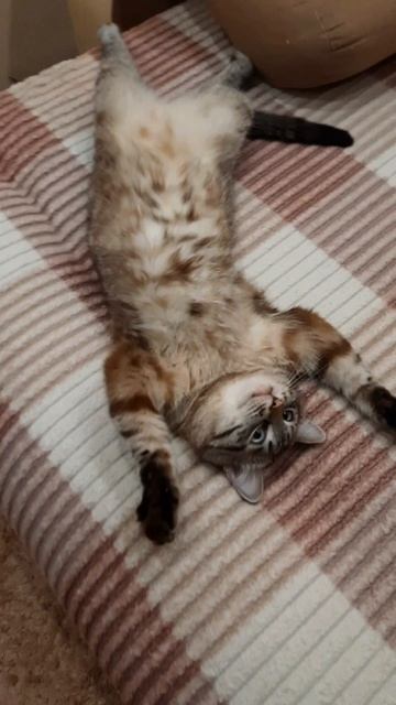 Идеальный выходной