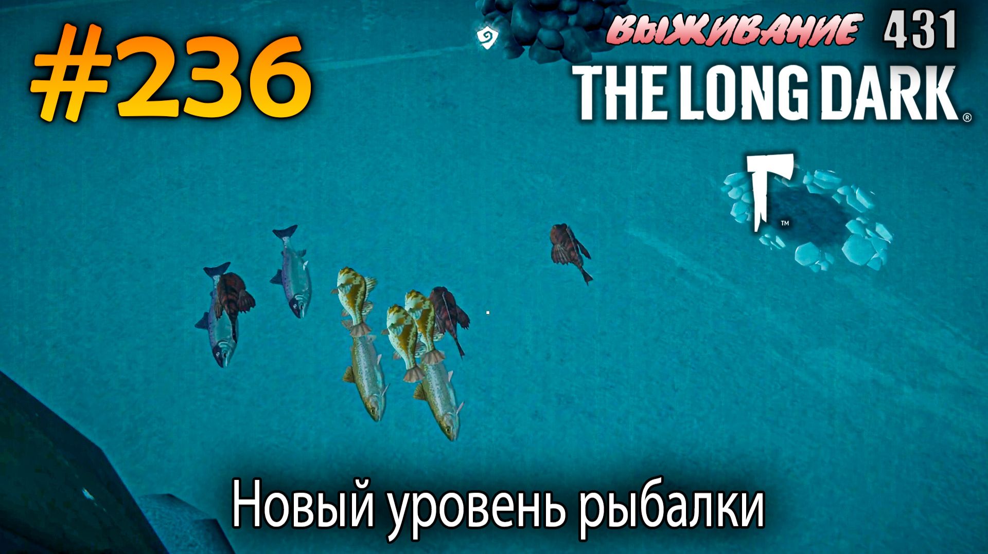 Новый уровень рыбалки | The Long Dark #236