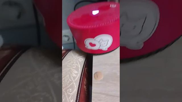 правда или действие с алисой