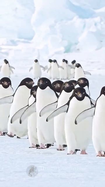 4e74c74c6e0c96b5911c5ad662efedbb