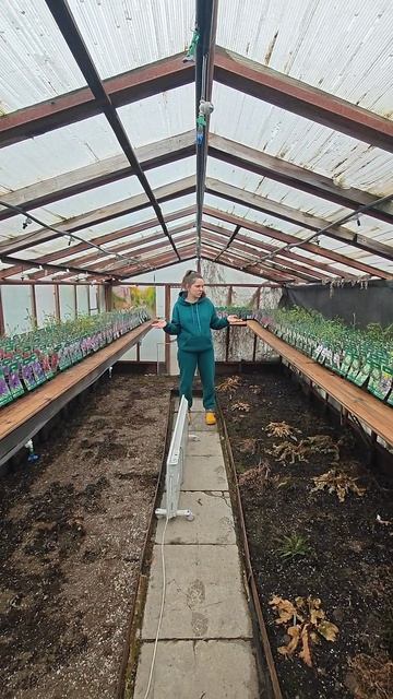 Готовим растения на отправку.