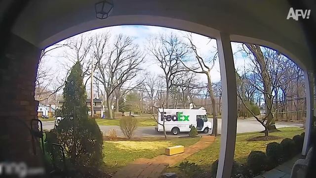 America′s Funniest Home Videos. Best Of The Week  Try Not To Laugh 😆