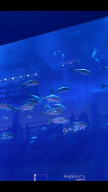 Размер твой жизни